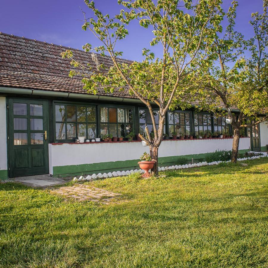 فيلا Palićفي Etno Salas - Etno Ranch - Seosko Turisticko Domacinstvo المظهر الخارجي الصورة