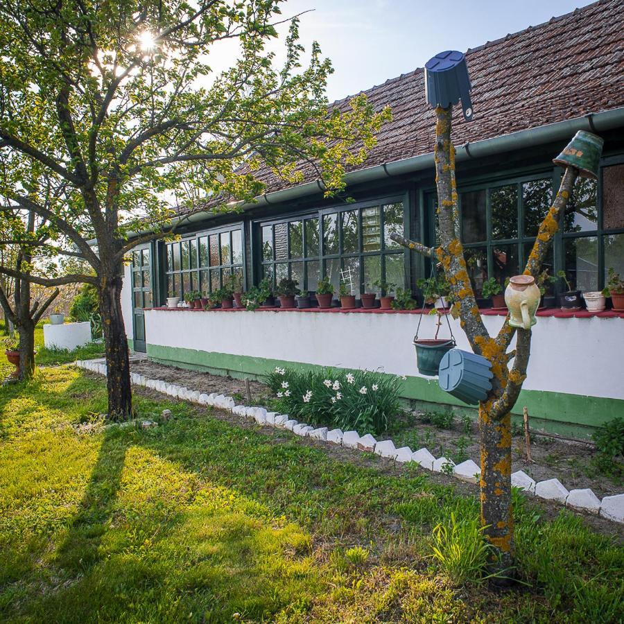 فيلا Palićفي Etno Salas - Etno Ranch - Seosko Turisticko Domacinstvo المظهر الخارجي الصورة