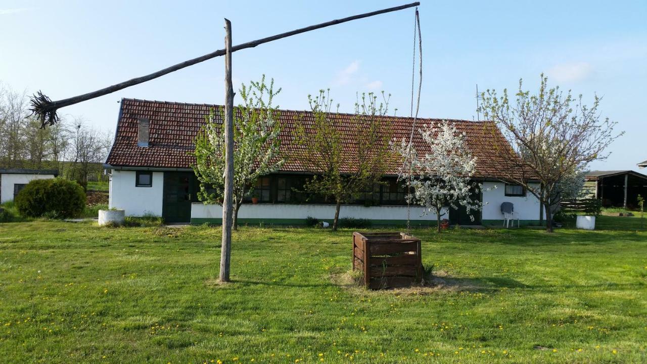 فيلا Palićفي Etno Salas - Etno Ranch - Seosko Turisticko Domacinstvo المظهر الخارجي الصورة